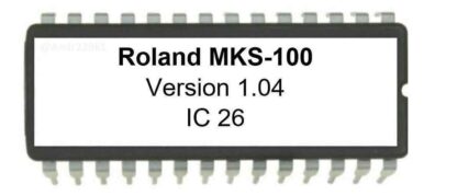 MKS-100